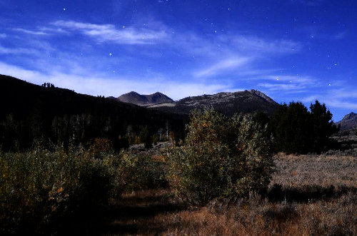 nightshot.jpg