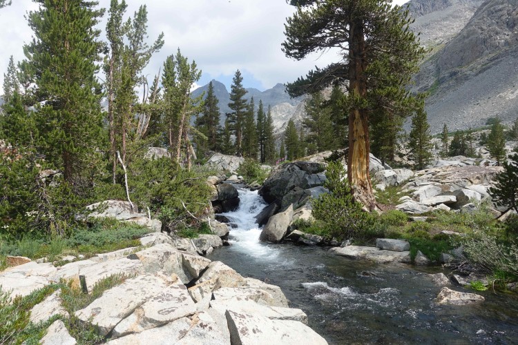 Goddard Creek