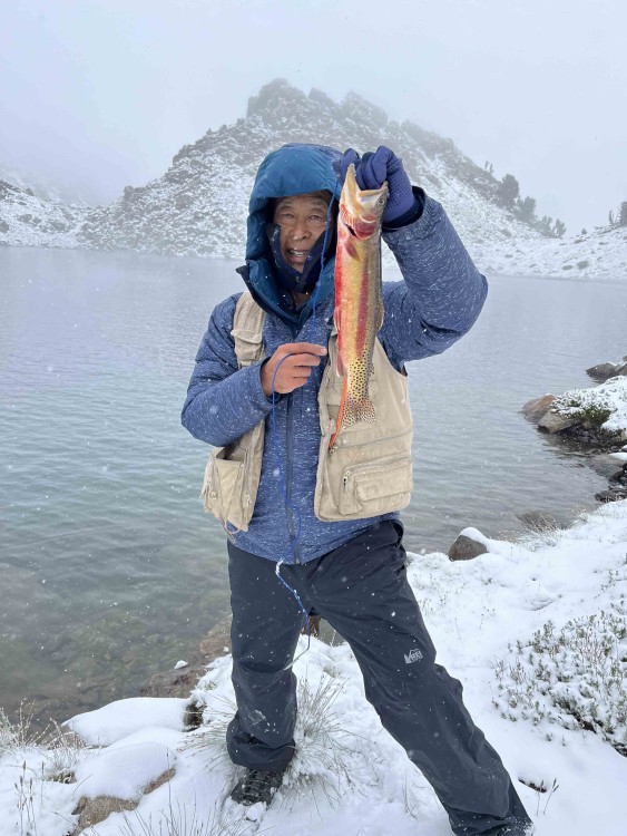Another scene we don't expect on August 24 in the High Sierra---a 16-inch golden in falling snow.  Note the missing right glove was only temporary because I was about to &quot;unslime it&quot; after handling the fish.