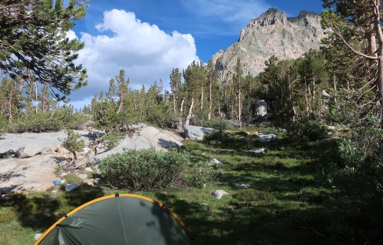 Camp