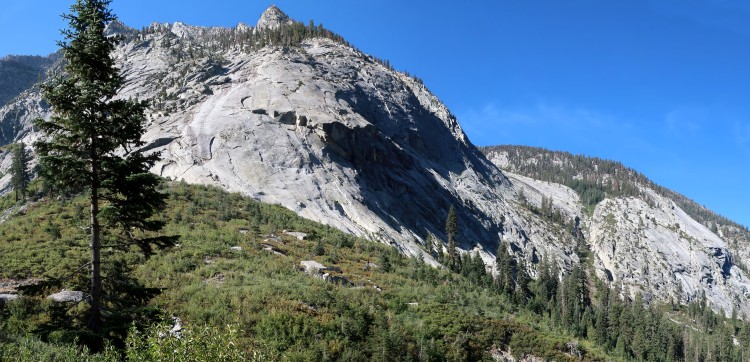 south side Bubbs Creek near Charoltte Creek