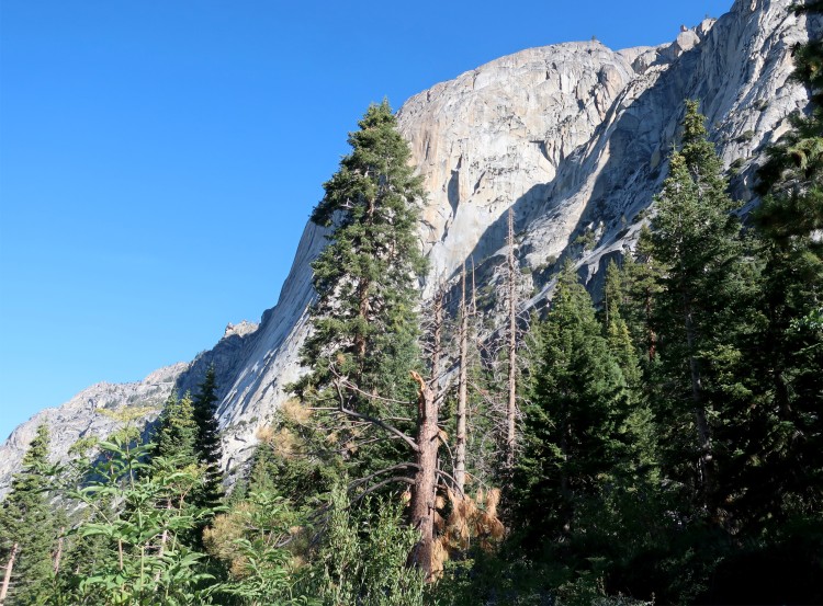 north side Bubbs Creek below Charlotte Dome