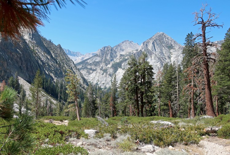 View back to Junction Meadow