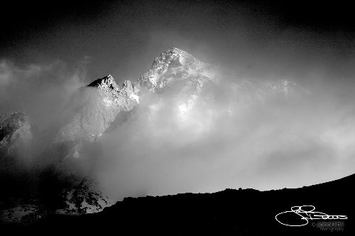 _MG_2106bw.jpg
