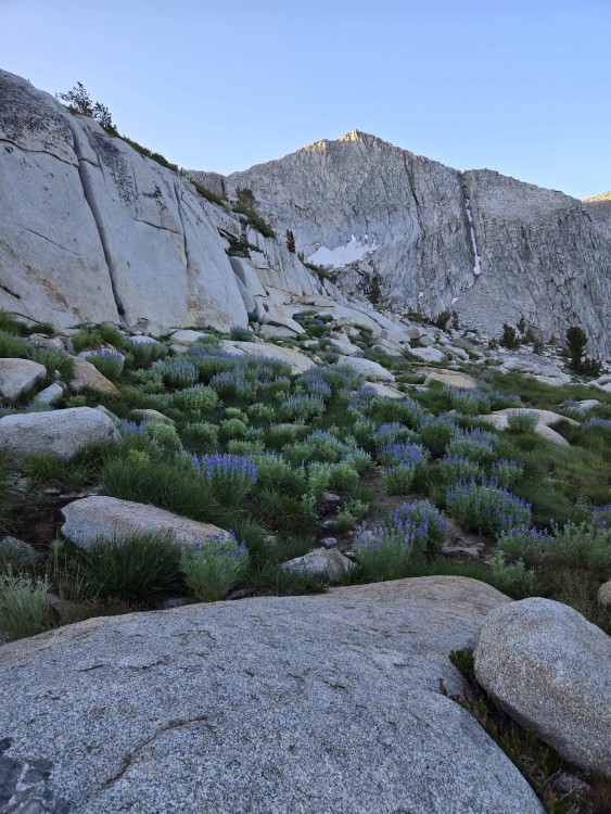 up to midway pass
