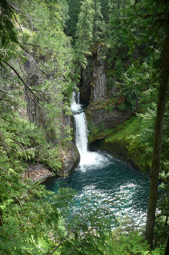 Falls N. F. Umpqua Tributary Stream