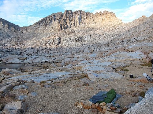 palisade crest