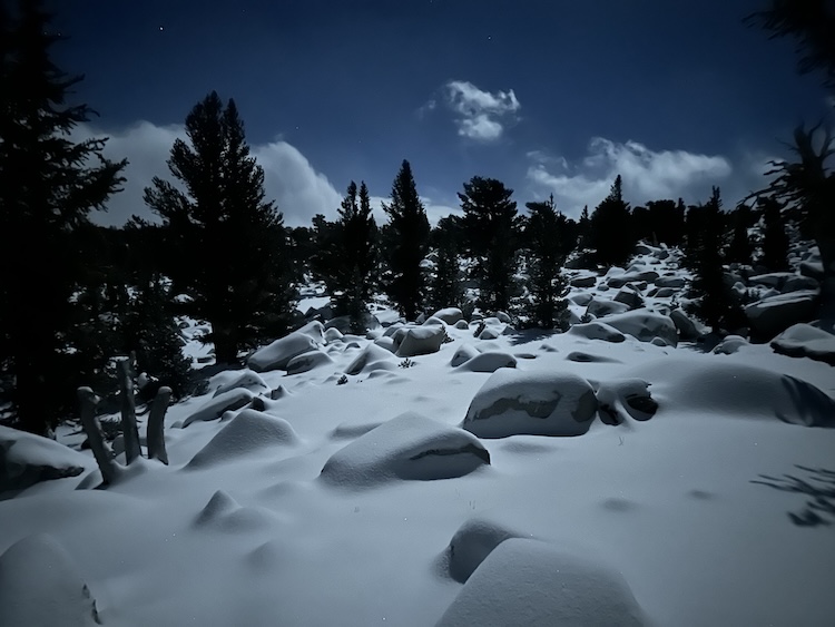 d4-140-near-lake-2-snow.jpg
