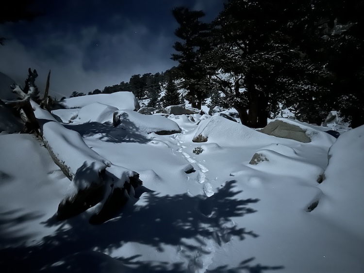 d4-150-snow-shoeprints.jpg