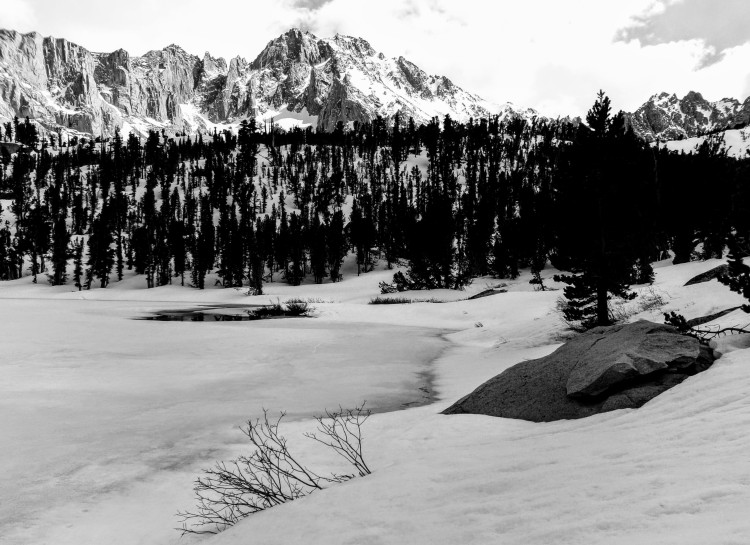 100_0523.JPG