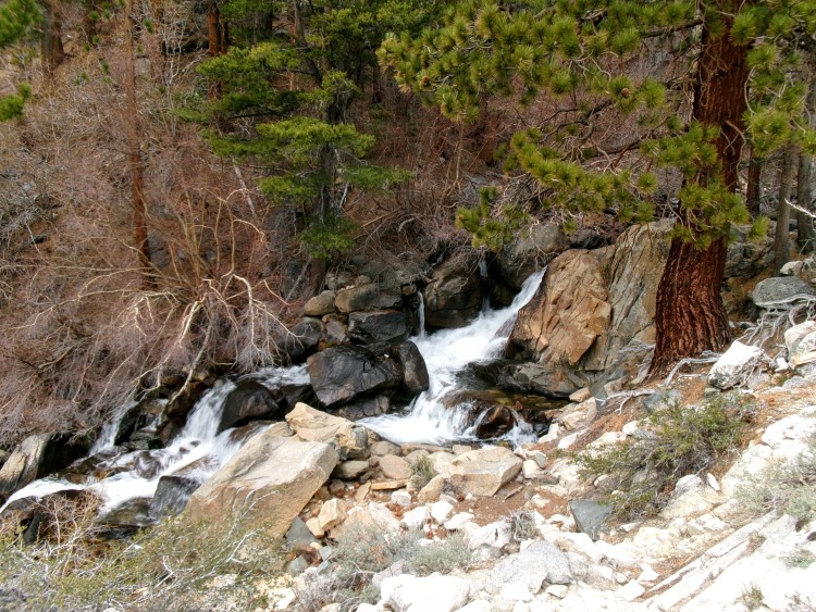 100_0552.JPG