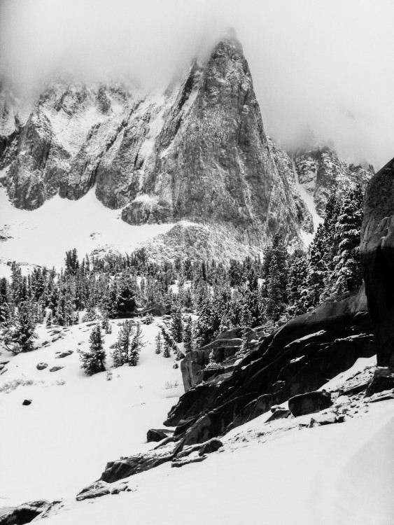 100_0597.JPG