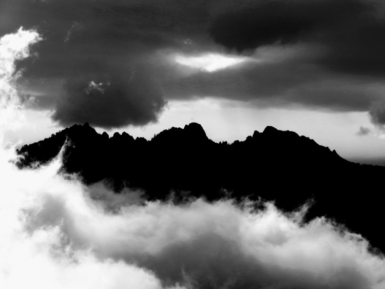 100_0709.JPG