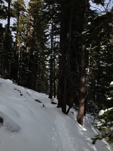 Lake Trail.jpg