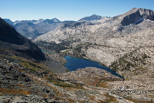 1009_1166_D1L.jpg