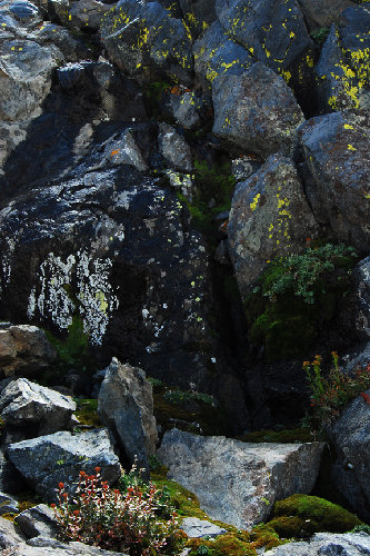 japanese gardens davis lakes cliffs72.jpg