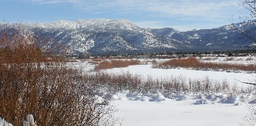 Fresh Snow