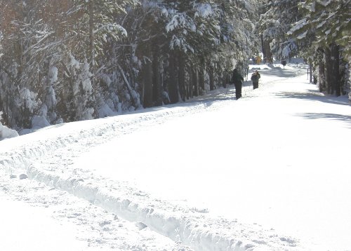 3 Trail.JPG