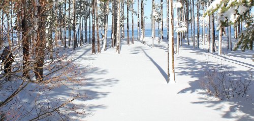 To The Lake