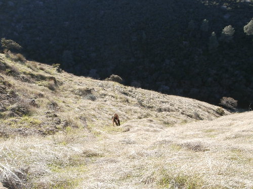 4 Sport Climbing.JPG