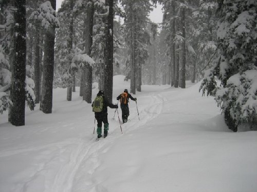 Monday Leading on Flagline Trail