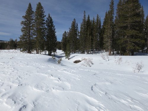 Creek