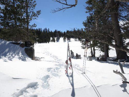 IMG_1380-skis-small.jpeg