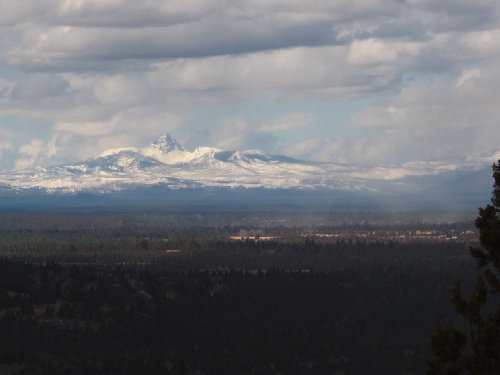 Three Fingered Jack.jpg