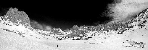 1003_1675_D1AP.jpg