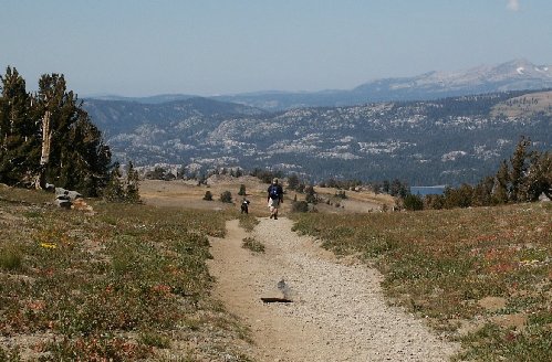 Me and Homer, Carson Pass, September 2006