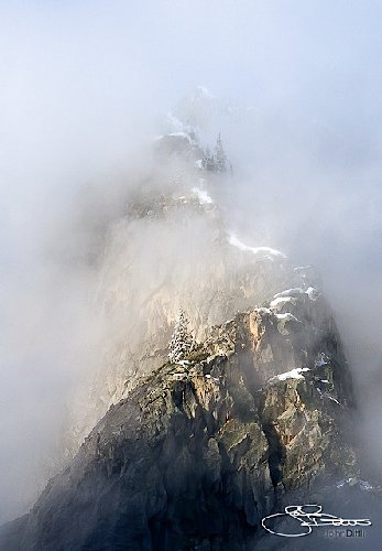 1105_ 1479_D1L.jpg