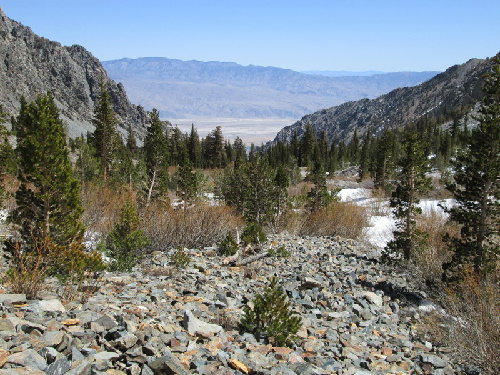 Looking back towards Owens Valley
