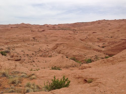 Miles of slickrock when hiking cross-country from Hurricane Wash back to the water tank.