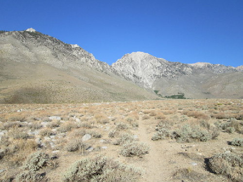 Desert trailhead