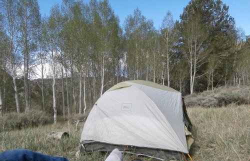1Tent .JPG