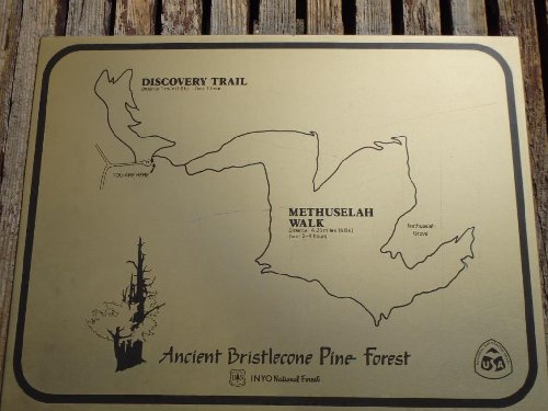 7Shulman Map.JPG