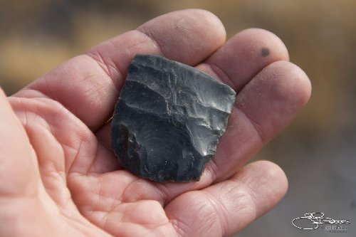 bottom of Paliolithic point ~10,000 years old, upper Regulation Creek