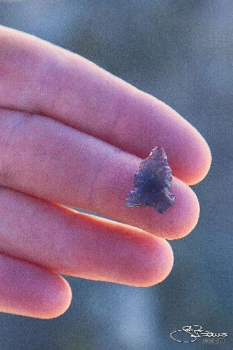 tiny bird point