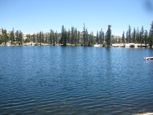 IMG_5526.jpg