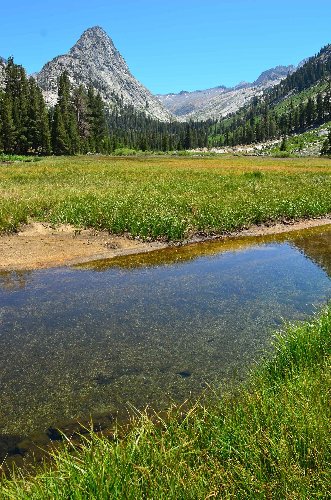DSC_4398.jpg