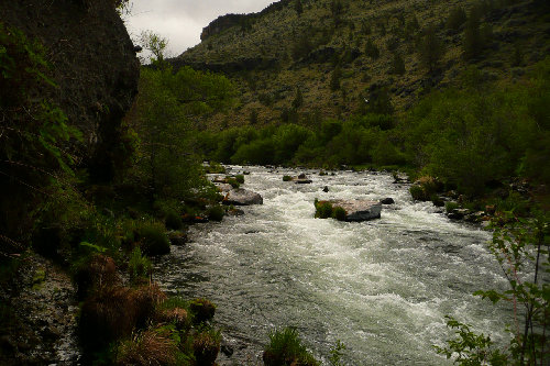 Looking upstream from where the trail first reaches the river