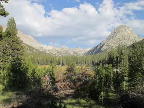 Colby Meadow - Evolution Valley