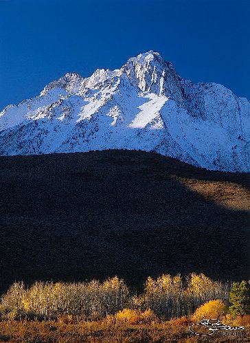 527_AB10-645L.jpg