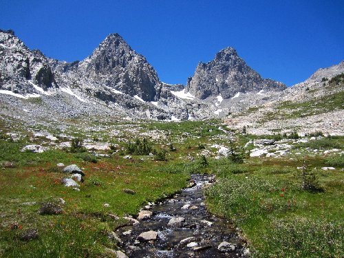 Meadow below Ritter &amp; Banner