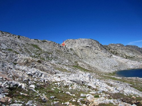 Whitebark Pass