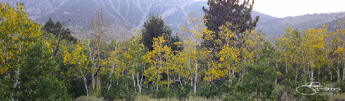 IMG_0043.jpg