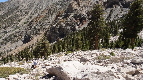 The Washout below anvill, not really a big deal and the alternate route is well marked and the rocks have cemented into the soil so things are pretty stable...