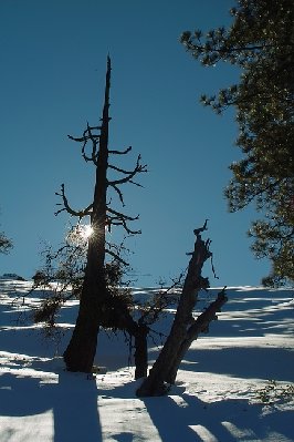 SDIM4064.1.JPG
