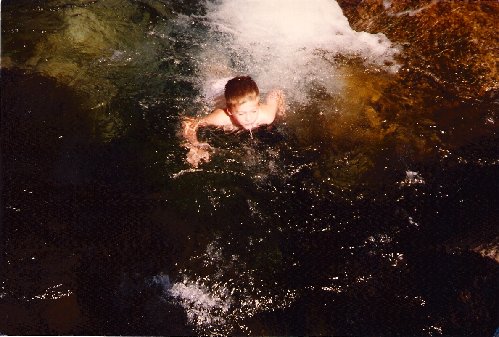 Fish C WS 3.jpg