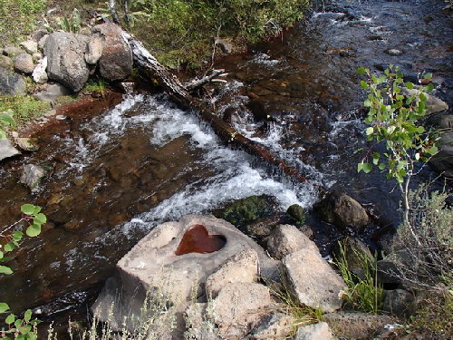 P8270069.JPG
